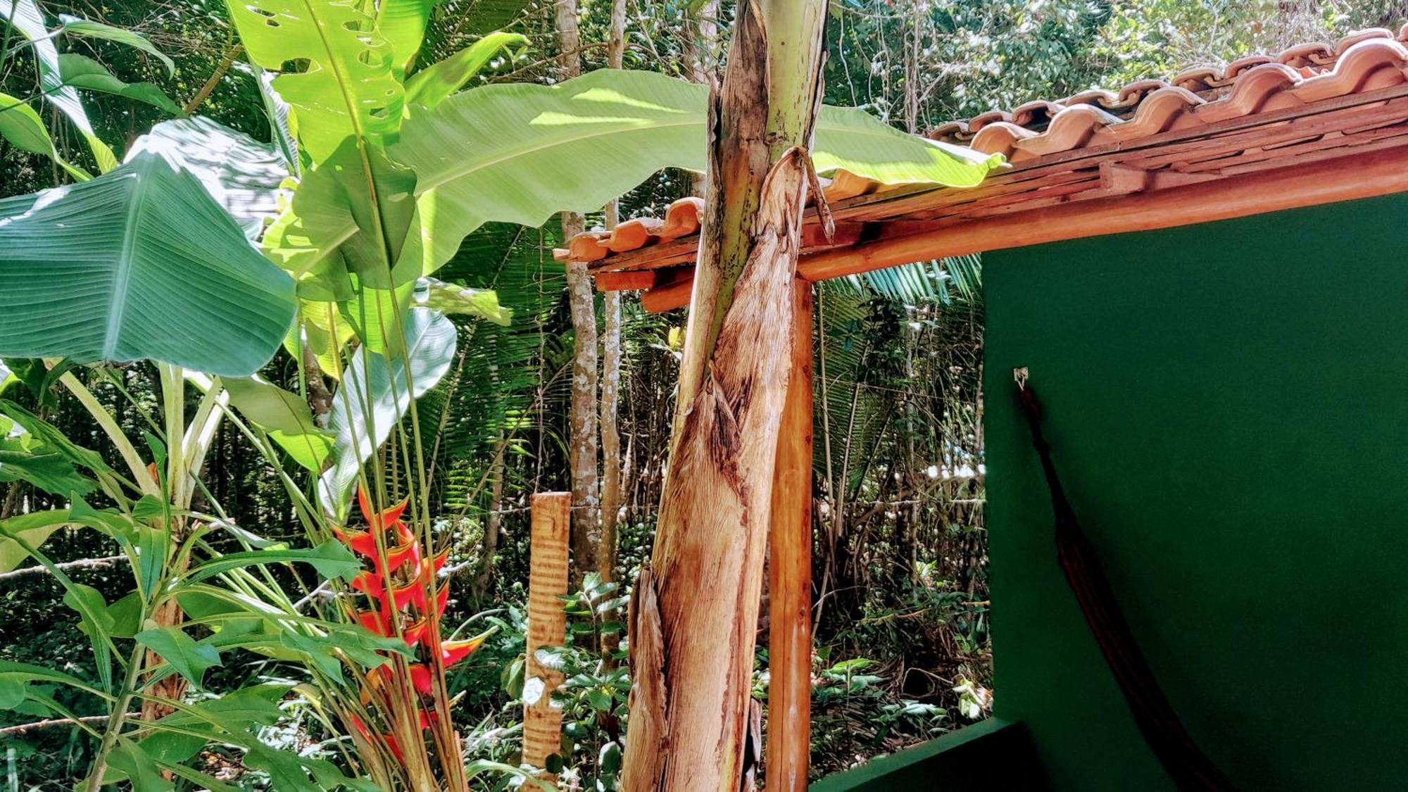 Chales Guigo-Cumuruxatiba, Sossego E Privacidade Extérieur photo